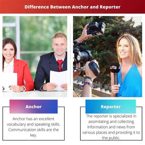 anchor reporter|anchor vs reporter meaning.